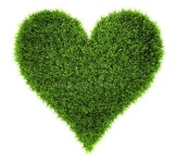Grass Heart Stock Illustrations – 29,724 Grass Heart Stock Illustrations, Vectors & Clipart - Dreamstime