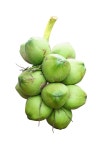 229,058 Green Coconut Stock Photos - Free & Royalty-Free Stock Photos from Dreamstime