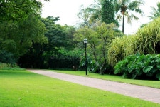 Garden Residential in China Stock Image - Image of landscaping, chinese: 40635227 Garden Residential In China Stock Image - Image... 