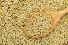 Lentil stock image. Image of pile, legume, horizontal - 9358023
