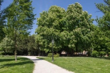 5,031,047 Green Park Stock Photos - Free & Royalty-Free Stock Photos from Dreamstime - Page 4