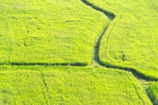 413,363 Green Rice Stock Photos - Free & Royalty-Free Stock Photos from Dreamstime - Page 2