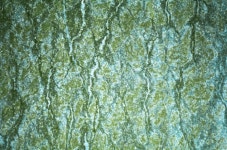 Green Ocean Wave stock image. Image of outdoor, pacific - 127679601