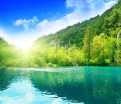 5,106,534 Green Water Stock Photos - Free & Royalty-Free Stock Photos from Dreamstime