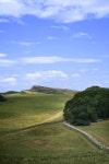 Wall Picture. Image: 5352085