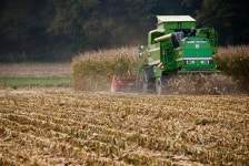 Soya Corn Editorial Images: Over 153 Stock Photos - Dreamstime Soya Corn Editorial Images: Over 153  Stock Photos - Dreamstime