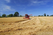 81,139 Harvest Time Stock Photos - Free & Royalty-Free Stock Photos from Dreamstime