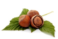 Plums stock photo. Image of fruit, sugar, plum, dried - 13313642