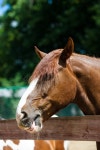 97,675 Eye Farm Stock Photos - Free & Royalty-Free Stock Photos from Dreamstime