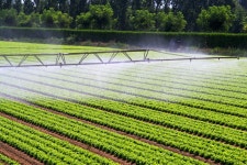 Water Cannons Used for Irrigation Stock Image - Image of used, tuakau: 104510991 Water Cannons Used For Irrigation Stock Image... 