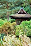 Garden stock photo. Image of shrubs, nature, flowers - 14350828