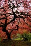 Jason Vandehey (Tvphoto) - Photographer profile