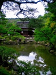 737,379 Zen Stock Photos - Free & Royalty-Free Stock Photos from Dreamstime - Page 22