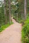 Hiking Trail in Yosemite Valley Stock Photo - Image of granite, park: 9879220 Hiking Trail In Yosemite Valley Stock Photo - Image... 