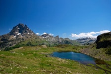 1,415 Ossau Stock Photos - Free & Royalty-Free Stock Photos from Dreamstime