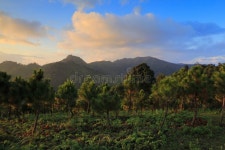 2,445 Landscpae Stock Photos - Free & Royalty-Free Stock Photos from Dreamstime - Page 2