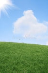 Green grass stock image. Image of bright, country, lawn - 18215317