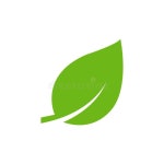 Green Leaf Icon Vector Illustration Stock Vector - Illustration of green, icon: 181307613