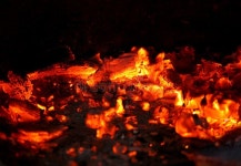 Burning down fire wood stock photo. Image of flaming - 21680116