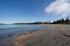 Seashore stock photo. Image of tides, lookout, excellent - 5424564