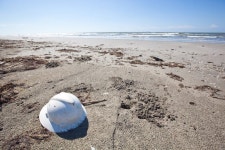 248,834 Lost Stock Photos - Free & Royalty-Free Stock Photos from Dreamstime - Page 14