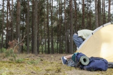 Tent in the forest stock photo. Image of campsite, relax - 61617780