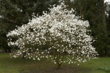 Wiertn - Photographer profile