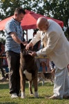 Dog Master Editorial Images: Over 2,433 Stock Photos - Dreamstime Dog Master Editorial Images: Over 2,433  Stock Photos - Dreamstime