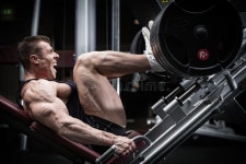 782,140 Training Gym Stock Photos - Free & Royalty-Free Stock Photos from Dreamstime
