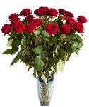 547,799 Many Red Stock Photos - Free & Royalty-Free Stock Photos from Dreamstime