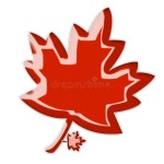 Leaf stock illustration. Illustration of concept, leaves - 6663714