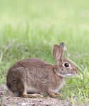 272,082 Marsh Stock Photos - Free & Royalty-Free Stock Photos from Dreamstime
