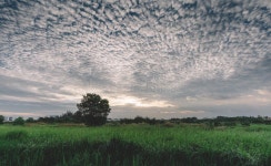 Free Public Domain CC0 Image: Meadow At Sunset Picture. Image: 84994346