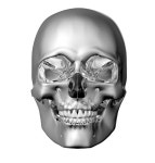 Metal Scull Isolated on White with Clipping Path Stock Illustration - Illustration of science, bone: 59548916