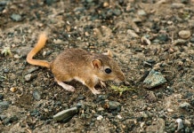 55,797 Midday Stock Photos - Free & Royalty-Free Stock Photos from Dreamstime