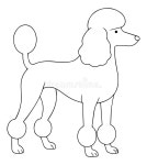 Vector Image of the Royal Poodle for Coloring. Stock Vector - Illustration of artwork, drawing: 372031521