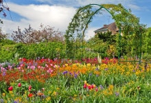 6,638 Monet Stock Photos - Free & Royalty-Free Stock Photos from Dreamstime