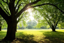 Green park stock image. Image of cast, lawn, beauty, setting - 2963763