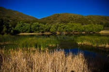 Stephen Martin (Stephenm501) - Photographer profile