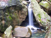 Waterfall stock image. Image of trees, greece, alpine, rocks - 867831
