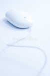 189,056 Mouse Stock Photos - Free & Royalty-Free Stock Photos from Dreamstime - Page 31