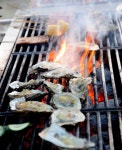1,566 Oyster Roast Stock Photos - Free & Royalty-Free Stock Photos from Dreamstime