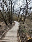 Path through Forest in the Czech Highlands Stock Image - Image of czech, highlands: 310355791