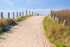 2,647 Path Trough Stock Photos - Free & Royalty-Free Stock Photos from Dreamstime