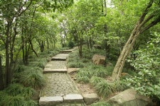 Jinling Corner of the Garden Stock Image - Image of feel, plants: 45010829 Jinling Corner Of The Garden Stock Image - Image of... 