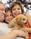 88,892 People Puppy Stock Photos - Free & Royalty-Free Stock Photos from Dreamstime