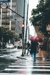 Free Public Domain CC0 Image: People Walking On Rainy City Sidewalk Picture. Image: 84960492