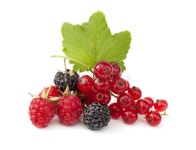 Blackberry fruit closeup stock image. Image of raspberry - 58052625