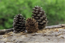 Robert Baylis (Bradb8) - Photographer profile