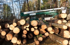 40,788 Tree Service Stock Photos - Free & Royalty-Free Stock Photos from Dreamstime